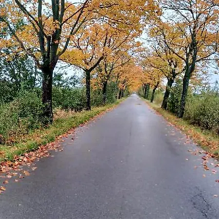 Holiday home Neska *