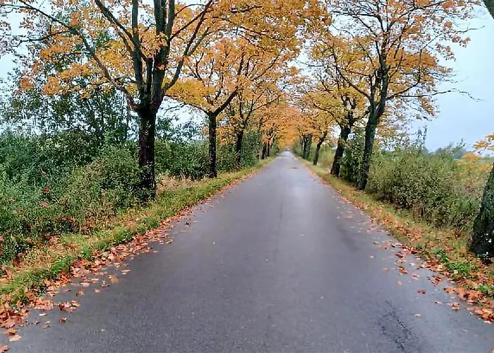 Casa vacanze Neska *